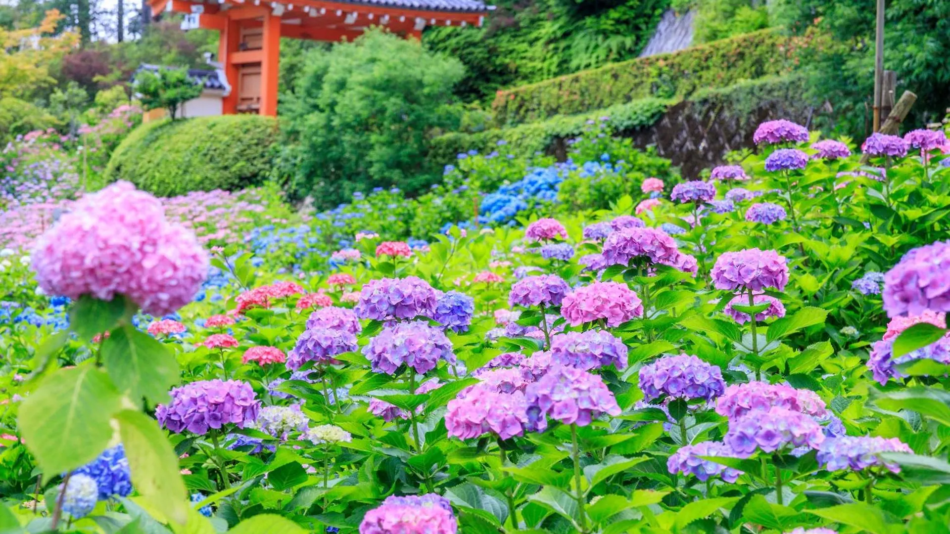 ****  Mimaru Kyoto Kawaramachi Gojo Hotel Japan